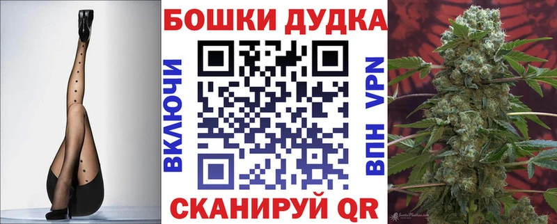 Конопля план Будённовск